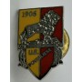 Pin US Povigliese (ITA)