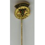 Pin FC Den Haag (NED)