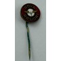 Pin AS Rova Roșiorii de Vede (ROM)