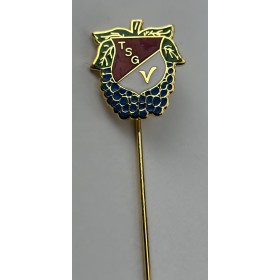 Pin aus Deutschland, Verein unbekannt (GER)
