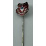 Pin Sportfreunde Dellmensingen (GER)