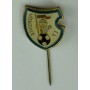 Pin TJ Vítkovice (CZE)