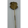 Pin SV Dalhausen (GER)