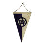 Wimpel Austria Wien, FK Austria