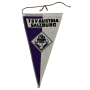 Wimpel Austria Salzburg