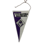 Wimpel Austria Salzburg