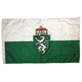 Fahne Steiermark, neu