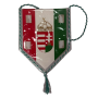 Wimpel Ferencváros Budapest (HUN)