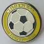 Pin Meltis Albion FC (ENG)