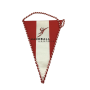 Wimpel Handball Austria