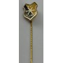 Pin VfB Jöllenbeck (GER)
