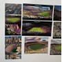 Stadionpostkarten FC Barcelona (ESP), Camp Nou