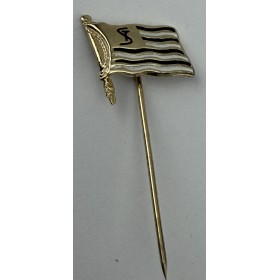 Pin Sturm Graz, silber