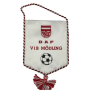 Wimpel VfB Mödling 1911 (AUT)