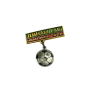 Pin FK Dynamo Minsk (BLR), Meisterpin