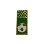 Pin aus Russland, Verein unbekannt