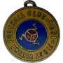 Pin First Vienna FC (AUT)