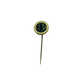 Pin SV Darmstadt (GER)