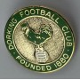 Pin Dorking FC (ENG)