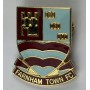 Pin Farnham Town FC (ENG)