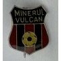 Pin Minerul Vulcan (ROM)