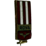copy of Pin Minerul Vulcan (ROM)