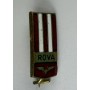 copy of Pin Minerul Vulcan (ROM)