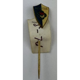 Pin AC Nitra (SVK)