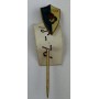 Pin AC Nitra (SVK)
