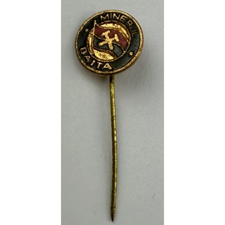 Pin Minerul Daita (ROM)