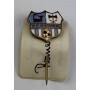 Pin FC Corvinul Hunedoara (ROM)