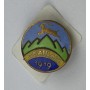 Pin Ceahlăul 1919 (ROM)