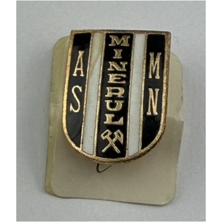 Pin AS Minerul Moldova Nouă (ROM)