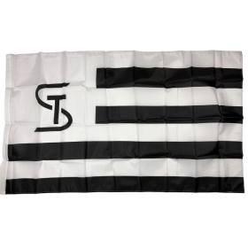 10x Fahne Sturm Graz, neu