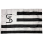 Fahne Sturm Graz, neu