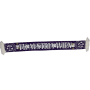 Schal Austria Wien