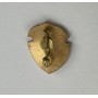 Pin Canaria (AUT)