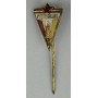 Pin FC Petrolul Ploiești (ROM)