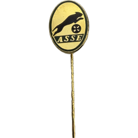 Pin AS Saint-Étienne (FRA)