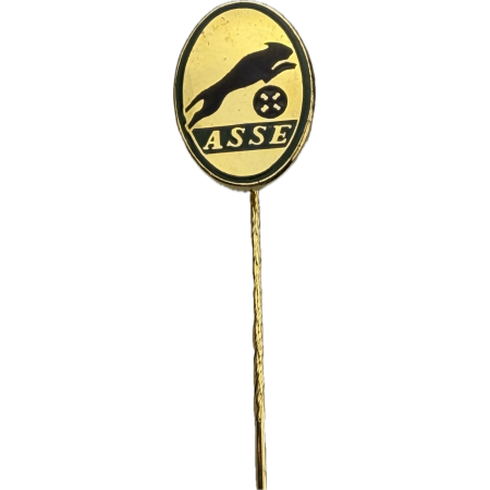 Pin AS Saint-Étienne (FRA)