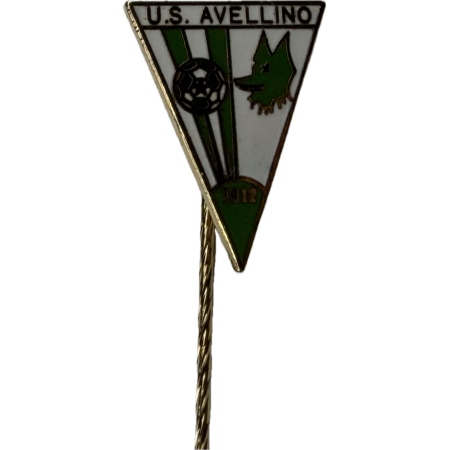 Pin US Avellino (ITA)