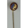 Pin Verband UEFA