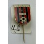 Pin FC Družstevník Báč (SVK)