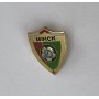 Pin FC Dinamo Minsk (BLR)