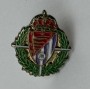 Pin Real Valladolid (ESP)