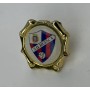 Pin SD Huesca (ESP)