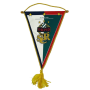 Wimpel Rapid Wien (AUT)