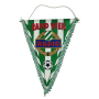 Wimpel Rapid Wien (AUT)