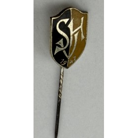 Pin SpVg Heepen (GER)