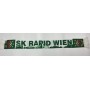 FOTO             Schal Rapid Wien (AUT)